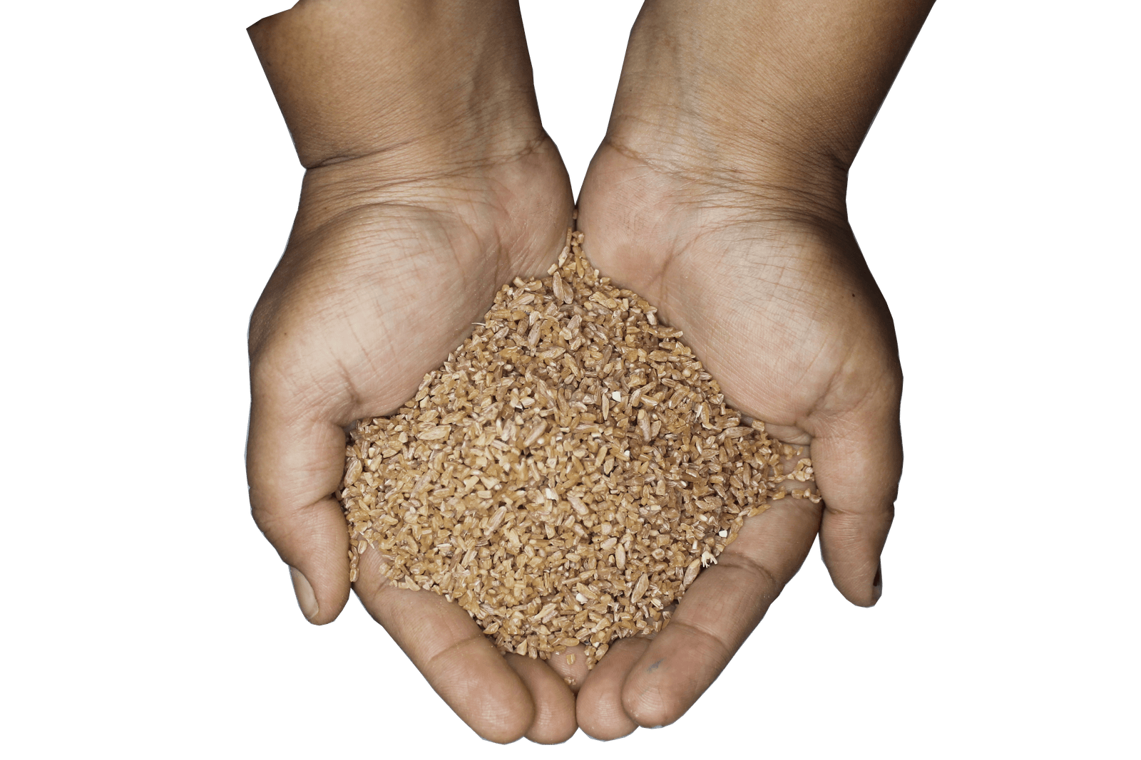 khapli_emmer_wheat_dalia_hand-2.png